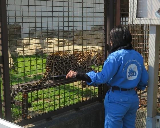 松山 伊予 東温 松前 砥部 まいぷれ
