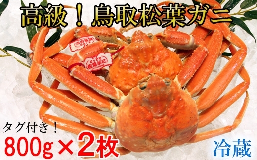 「松葉蟹人気です！身がぎっしり詰まった鳥取県産タグ付き松葉ガニ合計1.6kg」