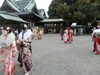 「1月11日（月）成人式 ♪《柴又亀家おかみの独り言》【柴又名物草だんごが人気☆柴又帝釈天から一番近いお団子屋】」