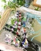 Citron シトロン さんのニュース おうちxmasをキラキラで飾ろう まいぷれ まるしぇのニュース まいぷれ 上田 東御