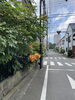 「真夏の出来事 / 平山三紀　みんなで歌謡ポップス」