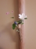 「茶箱、月点前」