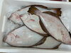 「本日鮮魚入荷致しました。[岩牡蠣は７月から販売致します。]」