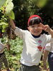 畑で収穫したじゃがいも！大きいね！「春の遠足🌱茨城県石岡市へ　」