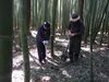 「みのり福祉会 就労継続支援B型 青空協同組合『四街道』様にてタケノコ掘りの巻～！！」