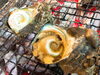 「活さざえの壺焼き」