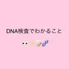「DNA検査でわかること！」