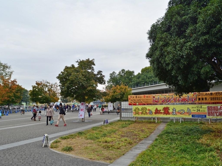 立川駅から「みどりの文化ゾーン」へは、サンサンロードを通り、あけぼの口から入ります。<br>同時開催されているのは「黄葉＆紅葉まつり」