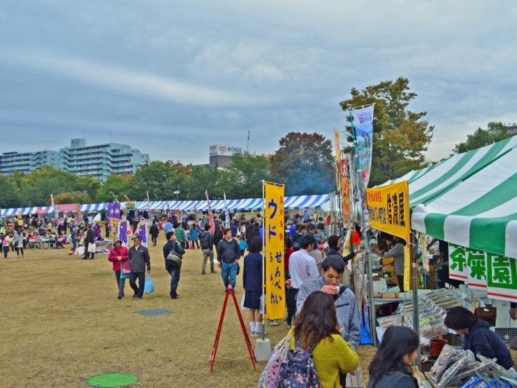 ズラーーーっとならんだ商人祭のブース！<br>どんな食べ物があるか、わくわく♪