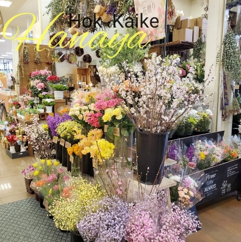 豊富な切り花「【はなやホック皆生店】切り花豊富です。」