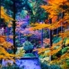 鳥居をくぐって