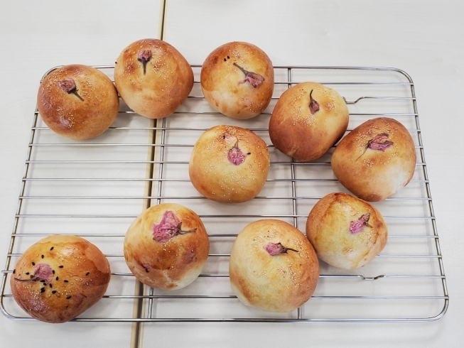 美味しそうに焼き上がったパン　ご覧あれ‼️「オープン記念手づくりパン作り教室」