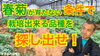 「発芽しない畑で種蒔きして栽培出来る野菜とは⁉︎　タネのハシモト」