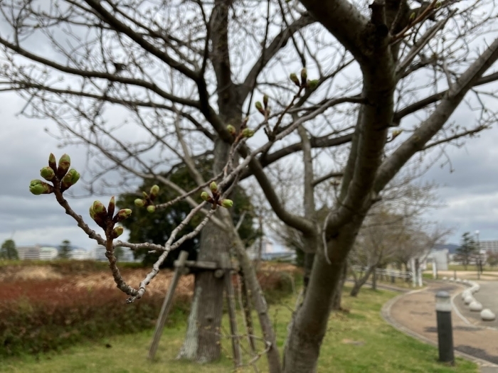 白潟公園