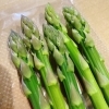 「岩手県産　JAいわて花巻　「アスパラガス」の出荷が始まっていますよー！！」