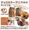チョコカラーアニマルがやってくる！「チョコカラーアニマルやってきます！」
