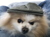 「　英語クラス　生徒募集！」