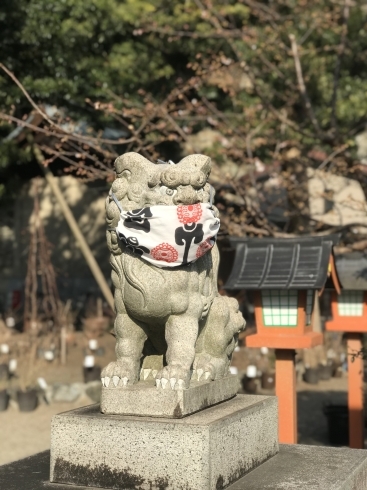 「瀬戸神社の狛犬さん【グルメ・ショップ・求人・イベント・サークル情報】」