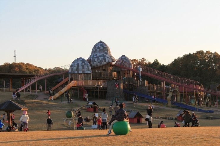 大芝生広場の大型複合遊具「きゅうの丘」。子供たちはこのような遊具が大好きですね。