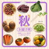 「創業74年のプロが厳選！舞鶴産の旬のおまかせ野菜BOX🥕🥬」