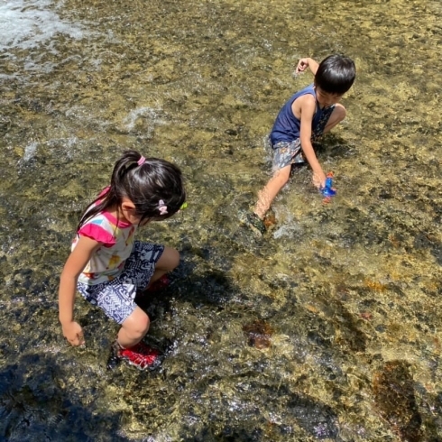 下関　川遊び「下関市　子供が遊べる川遊びスポット【菊川自然活用村】」