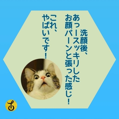 「「お肌を守る秘訣！」黒部 山内美容室 40代からきれいをみつけるお店」