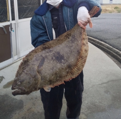 「いちば食堂、本日のおすすめ魚(^^)/」