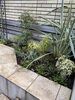 花壇植栽「花壇の植栽•磯子区•金沢区•お庭•造園のご相談は庭一」