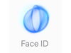 「「iPhone FaceID ☓ ミセルンデス」顔認証に問題なし！ ★新製品 透明マスク「ミセルンデス」専用マスクケース付き♪【京成立石駅徒歩8分　手拭染め体験がオススメの手ぬぐいショップ♪】」