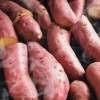 屋台 イベント 学園祭 お祭り グランピング 移動販売 焼き芋機 焼き芋器 副業 m88336060803_1.jpg?1710994304
