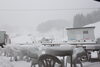 「昨晩から雪が降りました！」