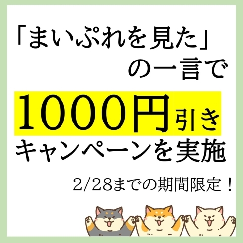 「肩こり、腰痛に悩むあなたにお知らせ！」