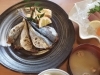 「2月18日(木)一魚一会のおすすめランチは「長崎俵物鯵の開き定食」です♪」