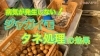 「ジャガイモの消毒【種子・品種・家庭菜園】　タネのハシモト」