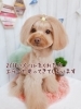 「再2/18お問い合わせ頂いた方へご連絡です。」