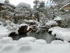 「☆一昨日からの雪☆」