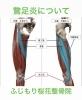 鵞足について ふじもり桜花整骨院 ふじもり桜花整骨院のニュース まいぷれ 八王子市