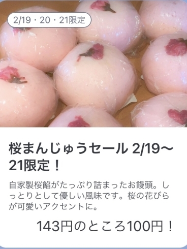 桜まんじゅうセール！「【信鶴堂です♪】桜まんじゅうセール中！」