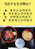 「2月21日日曜日、今日のクイズ!!『実在する生き物は？  A.キリンコウモリ B.ライオンコウモリ C.ウサギコウモリ D.オオカミコウモリ』本日のおすすめmenuは✨鉄火丼……1,100円てす。漁協の食堂で鮪ランチはいかがでしょうか？」