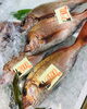 「西海物産館 魚魚市場鮮魚コーナーおすすめ商品は「魚介類です」♪」