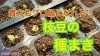 「【発芽の管理】枝豆の種まき　タネのハシモト」