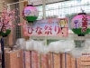 ひな祭り弁当箱 ばんば中央はこれからテイクアウトを始めたいなんて方も応援します ばんば中央のニュース まいぷれ 京都市下京区 東山区