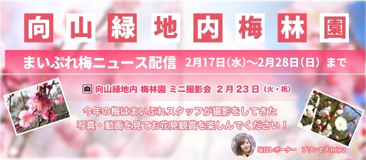 「本日はプリンセスmiyuが「梅林園レポート」」