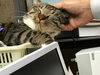 「ある日のクルミ。」