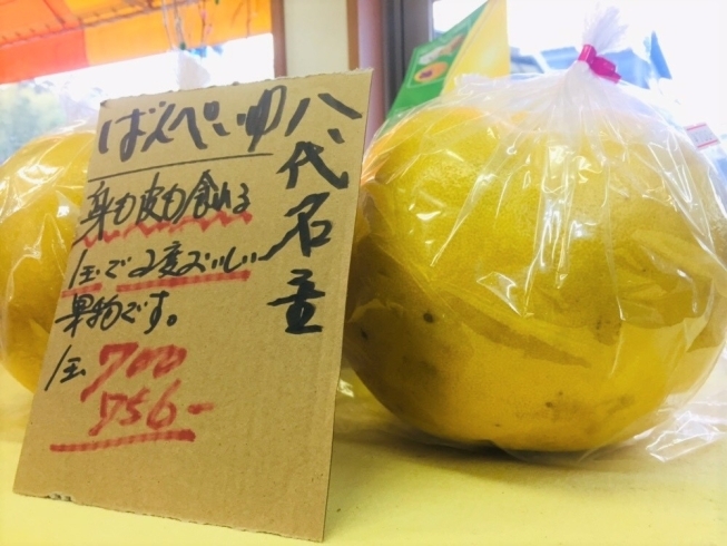 「熊本県八代特産『晩白柚（ばんぺいゆ）』【お肉・野菜・果物は清武町の黒木商店で♪】」