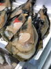 「愛知県産　平貝」