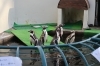 「可愛い動物に会いに行こう！「和歌山城公園動物園」」