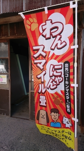 当店でも取り扱っております。わんにゃんスマイル畳「ペット用の畳ありますよ〜(その2)」