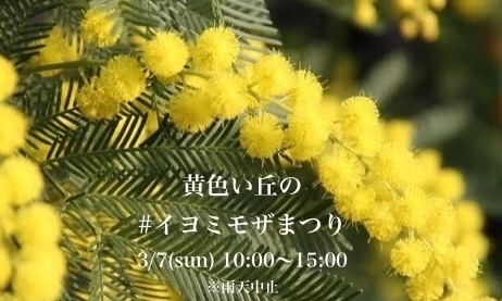 「【2021年3月7日(日)】黄色い丘の#イヨミモザまつり」