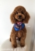はじめましてのパンくん　（＾Ｏ＾）「はじめまして^o^」